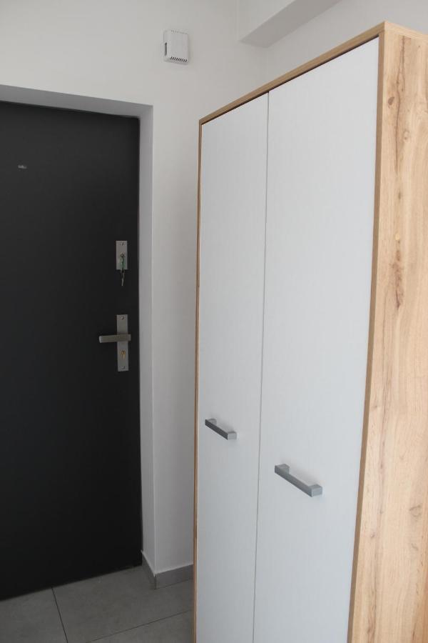 ריבניק Apartament Fibra Freddo מראה חיצוני תמונה